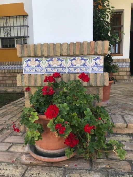 Villa El Magnolio Chiclana de la Frontera Esterno foto